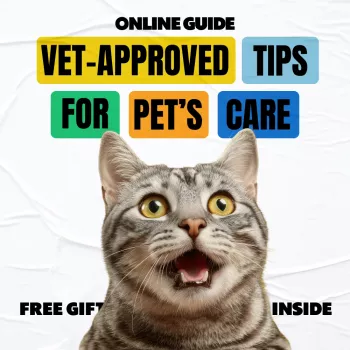 Vet-Approved Pet Care Routine: Easy Tips for Dogs & Cats