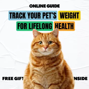 Pet Weight Tracking Made Simple for Dogs & Cats