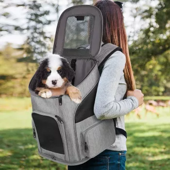 Breathable Backpack Carrier for Small Dogs & Cats